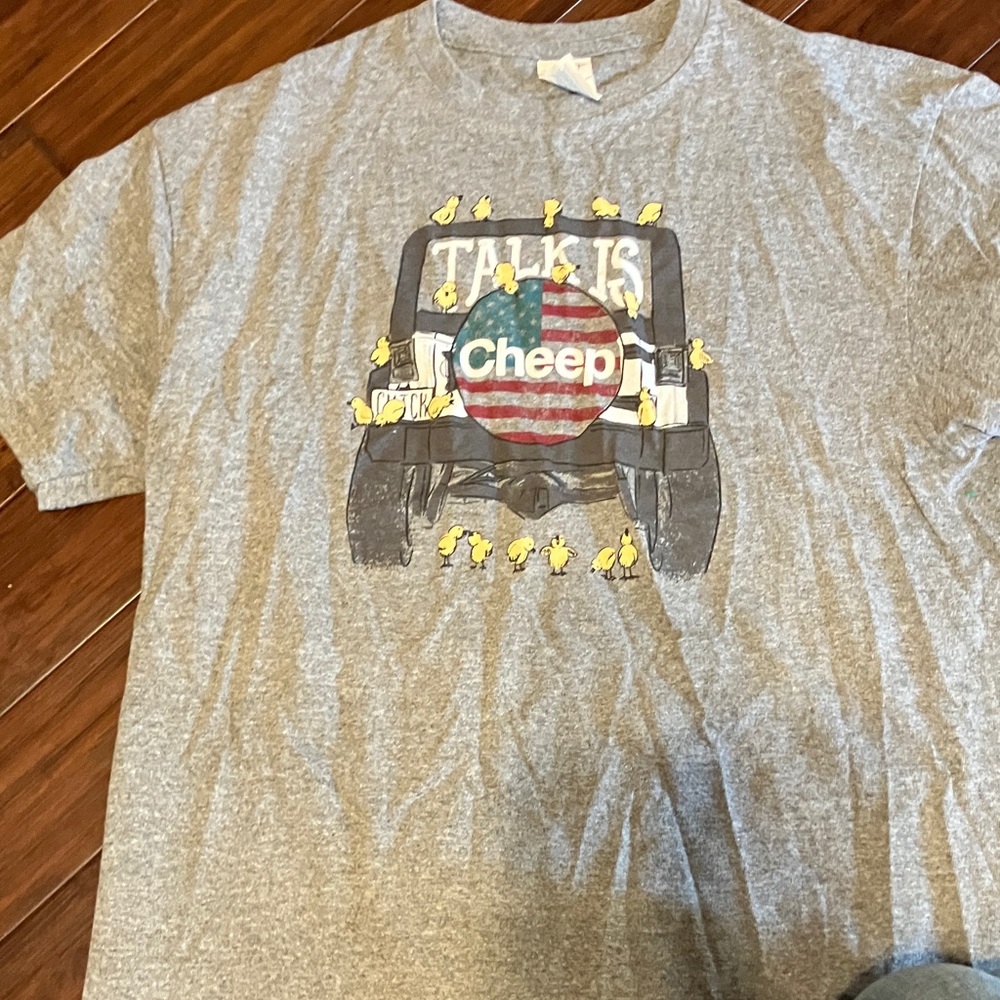 Gray  T-Shirt with Graphic Print